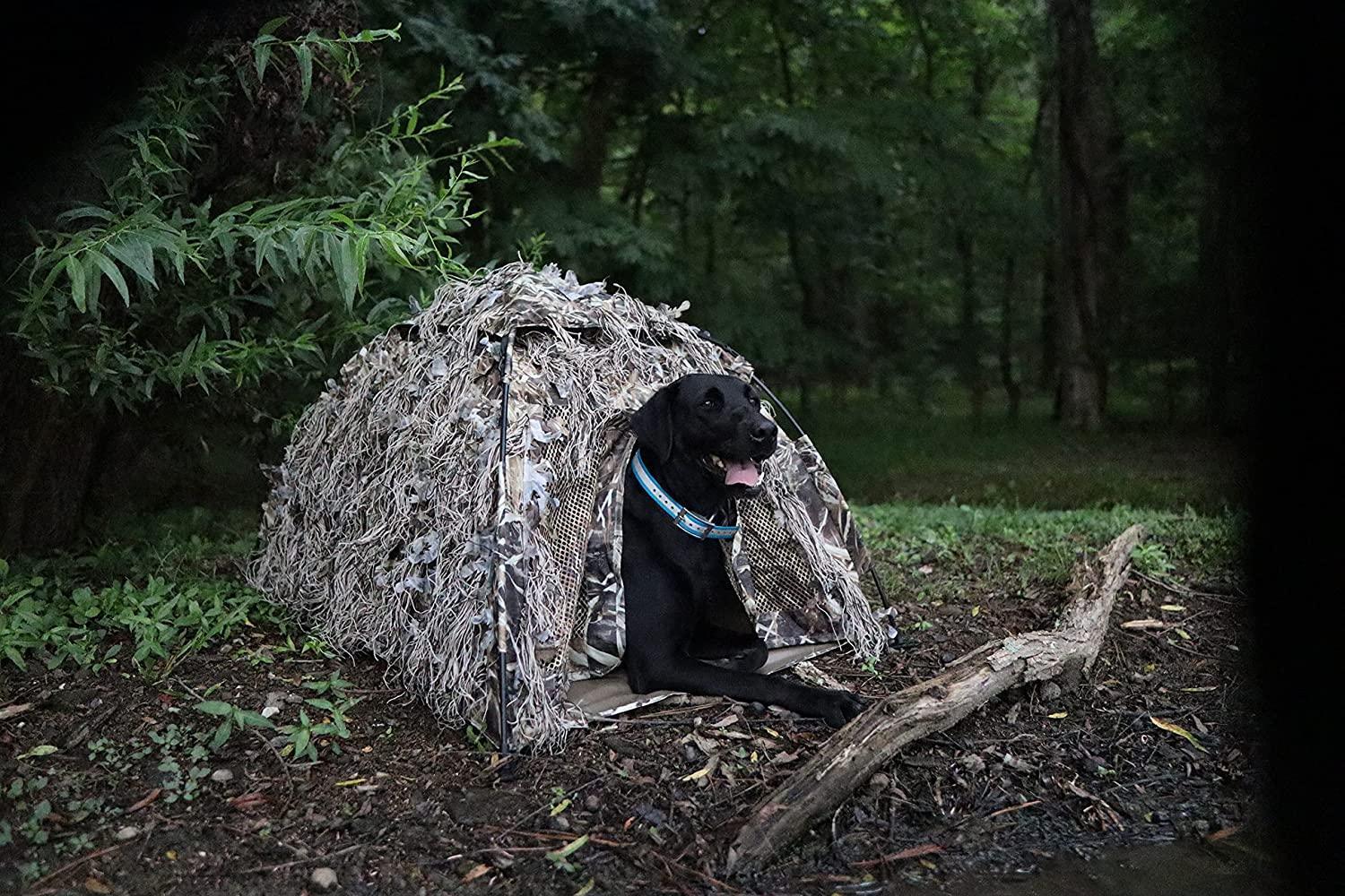 Dog Blind - North Mountain Gear